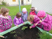 Zahradničíme ve školce